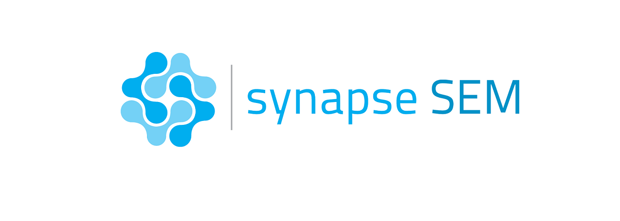 Synapse_Logo 75% | Synapse SEM